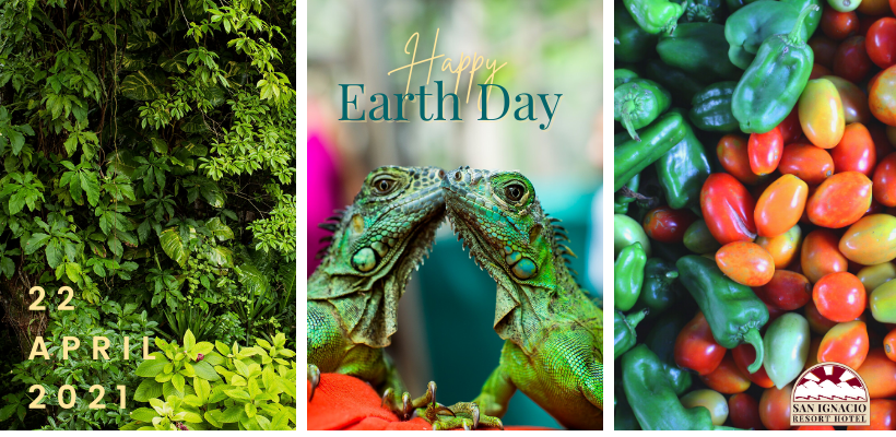 Earth Day 2021 Earth Day 2021