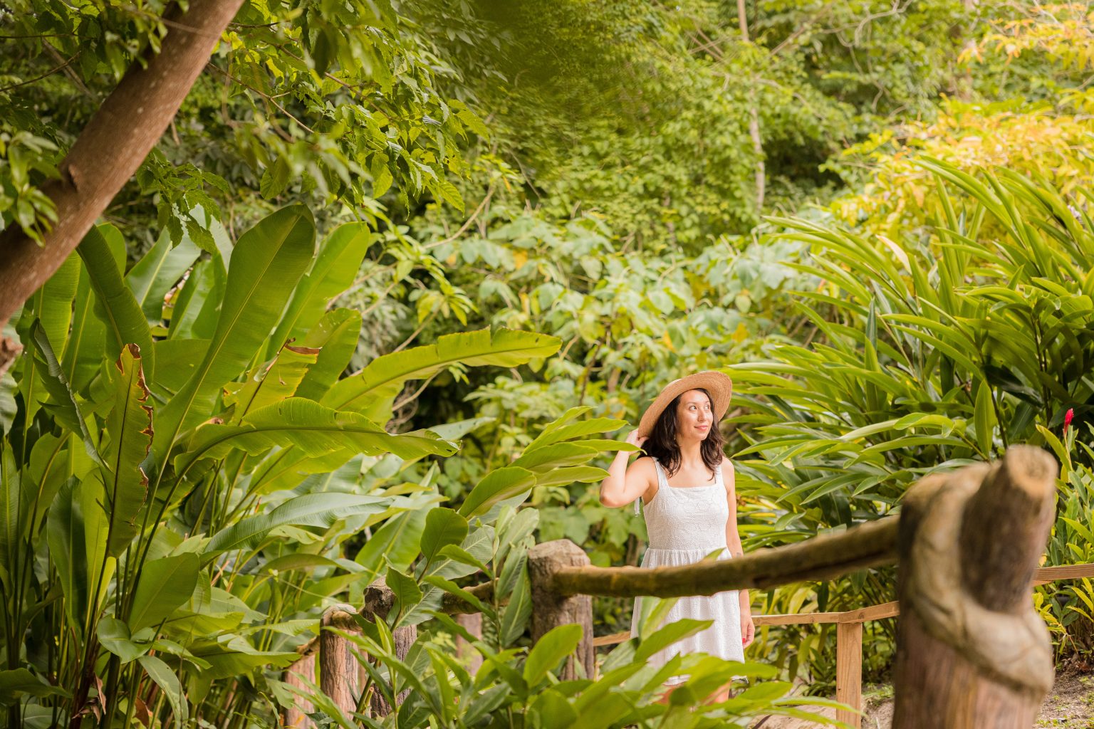 California in December | California, Celestial, Sunset California in December | California, Celestial, Sunset