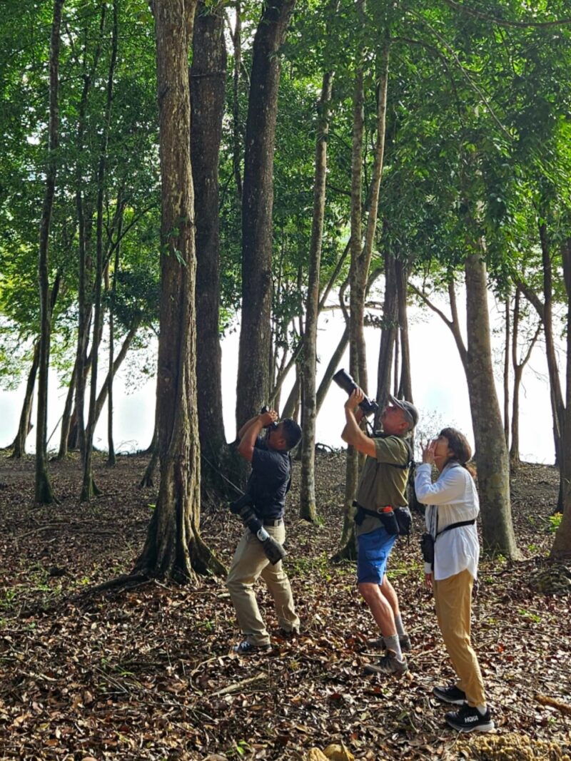 Belize winter escape