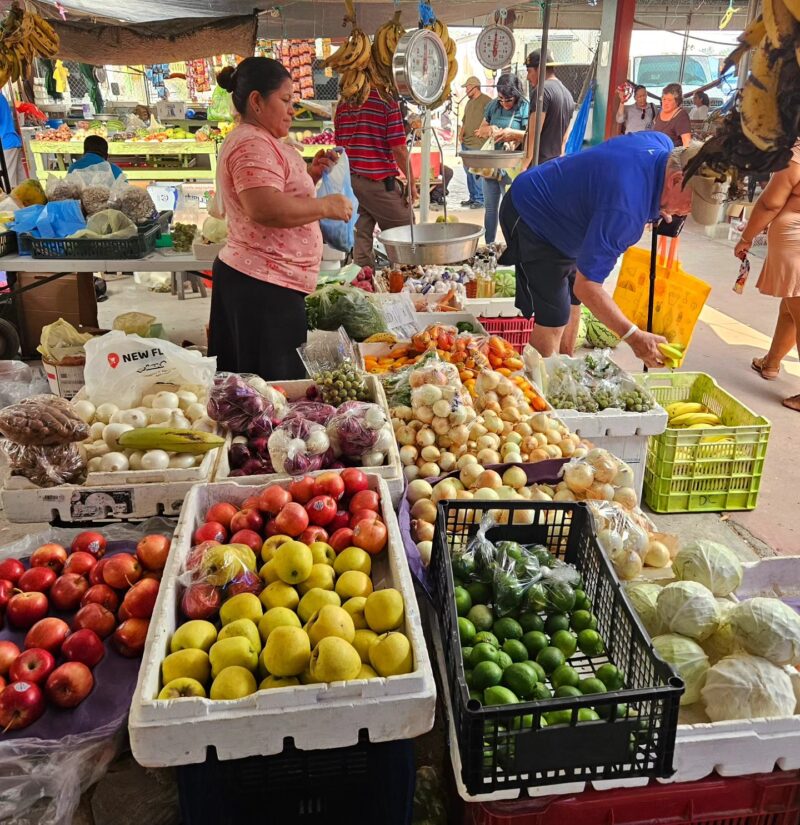 Belize June travel guide