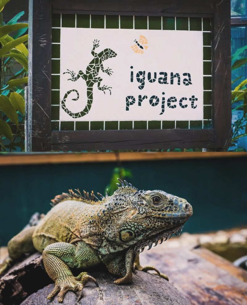  things to do Belize summer 