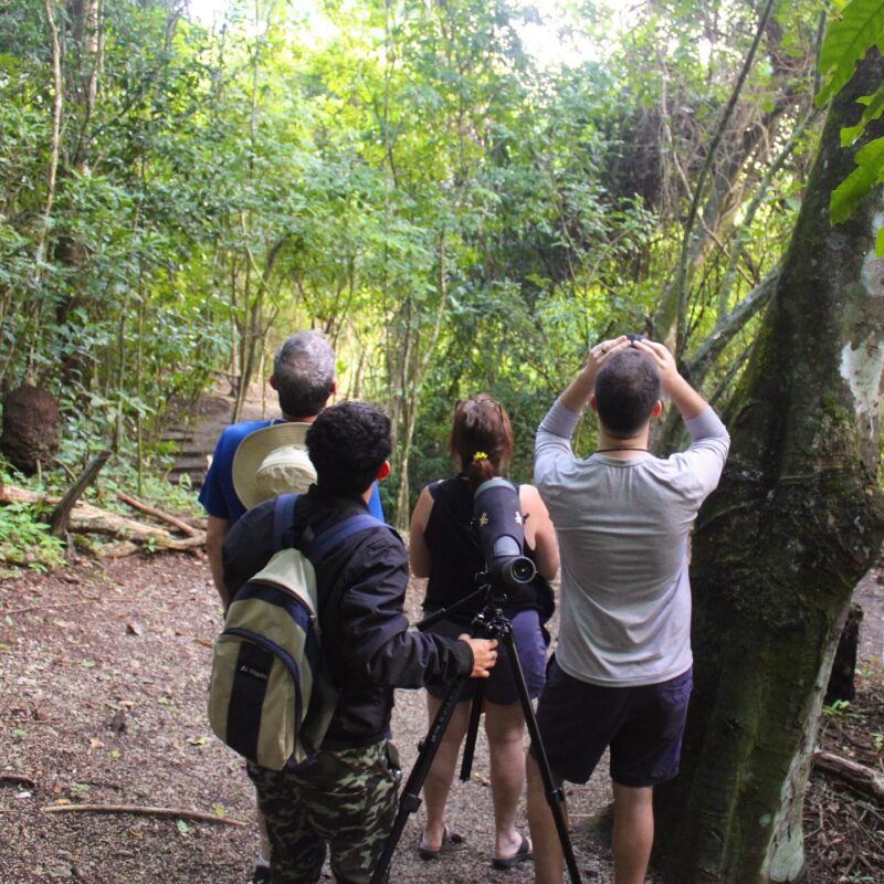 Belize jungle hiking