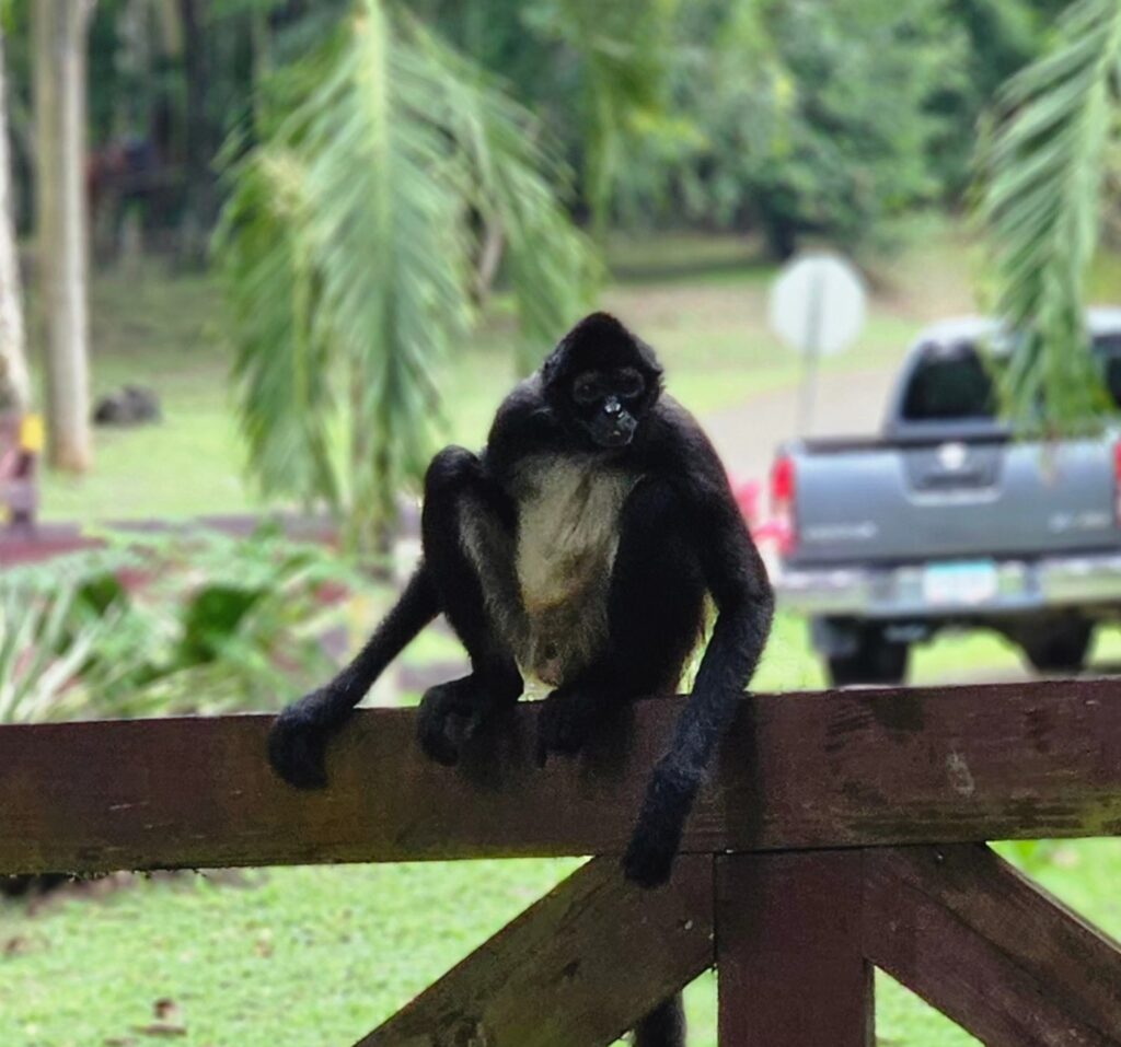 Belize outdoor experiences May