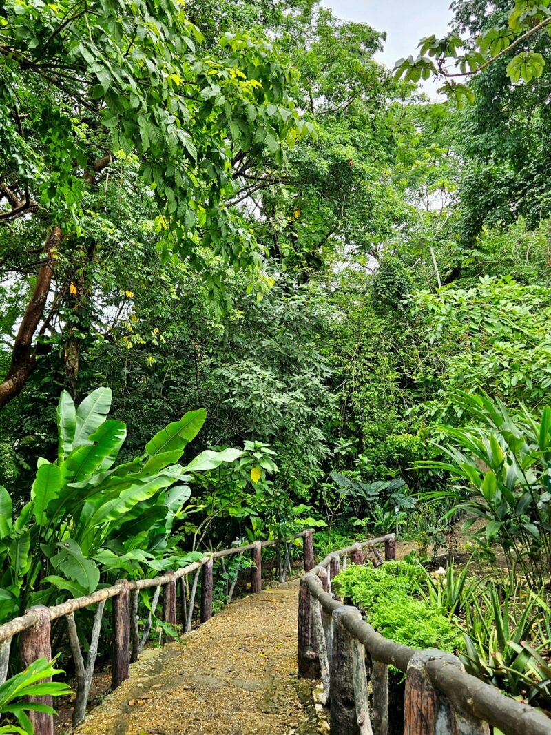 Belize green season travel